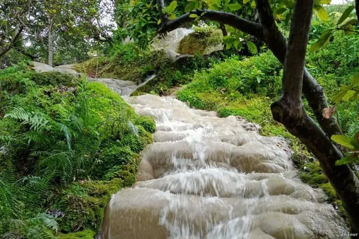 CNX sticky waterfall (Bua tong tung) - Image 1