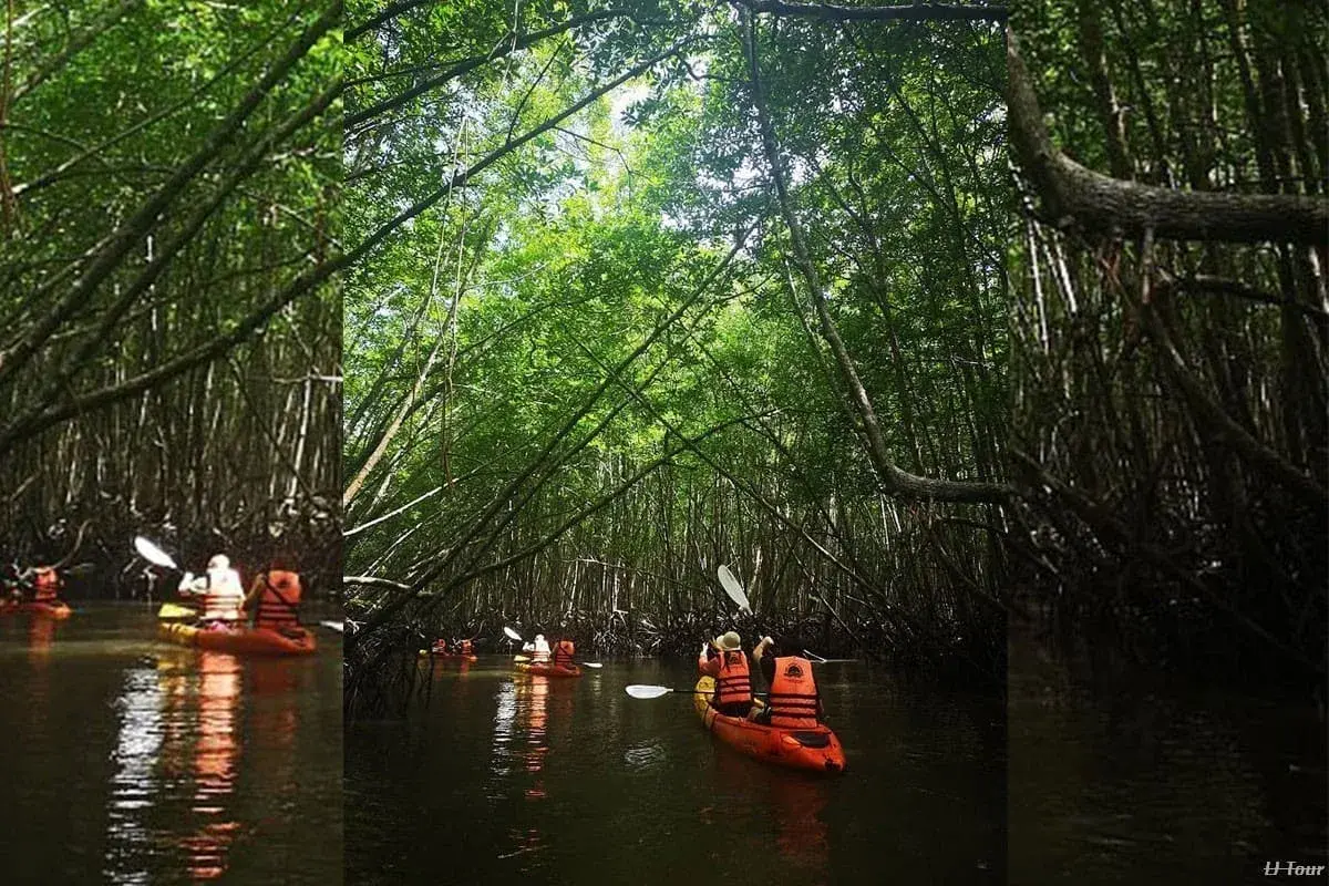 KBV Kayaking at Ban Bor Thor Krabi - Image 1