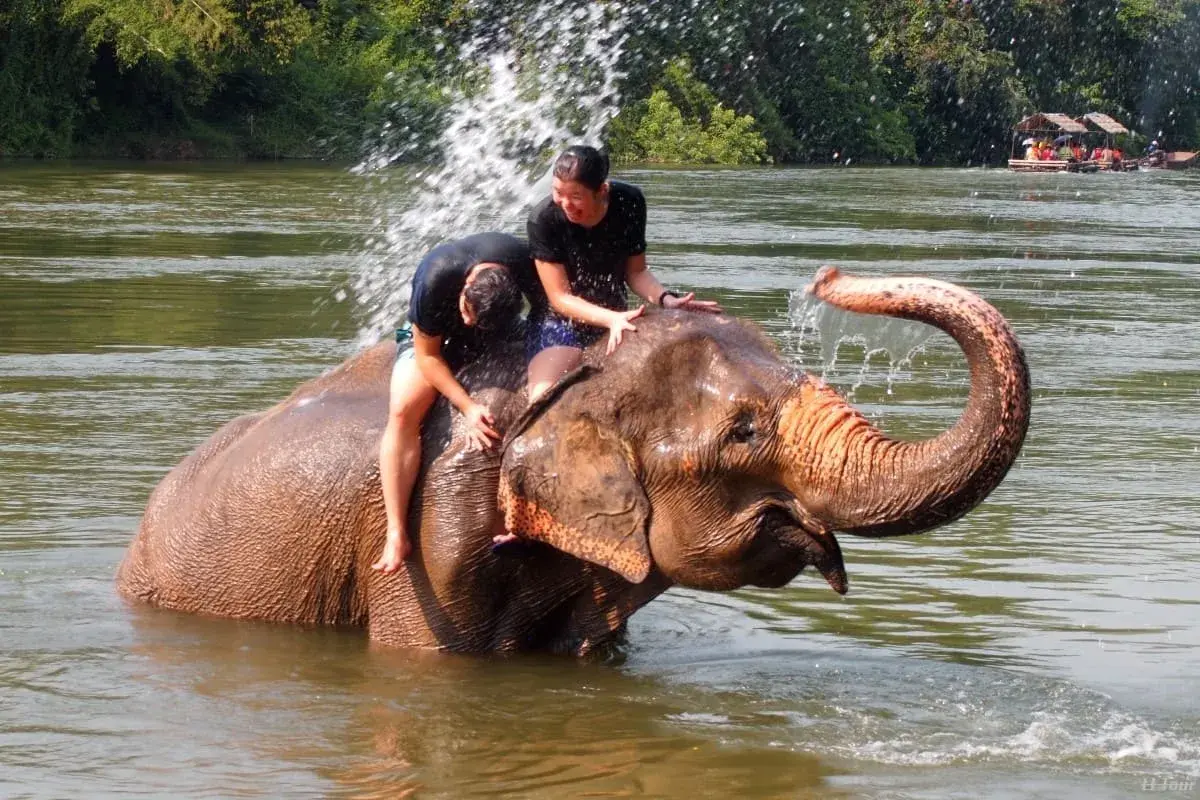 BKK Damneon River Kwai Elephant Bath - Image 1
