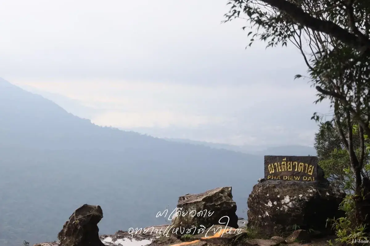 Khao Yai Riding Elephant with Lunch - Image 1