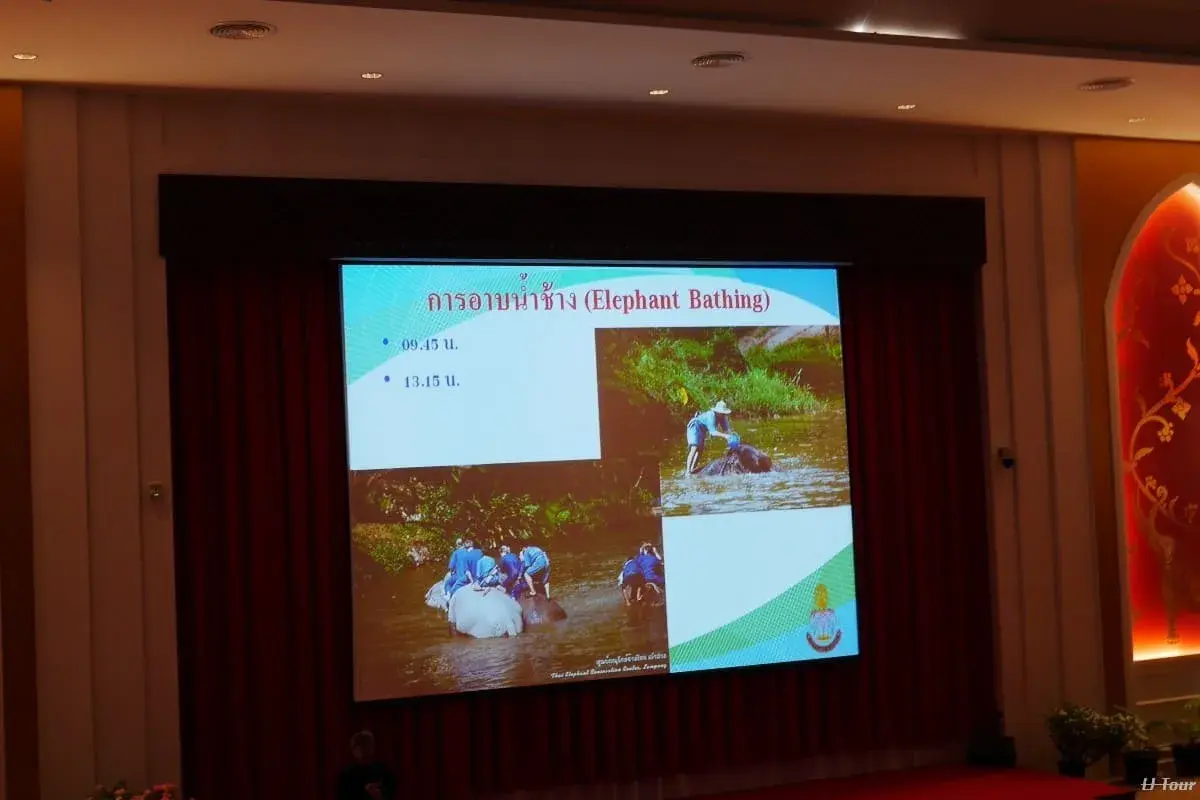 CNX ELEPHANT Conservation Center and lampang trip - Image 1
