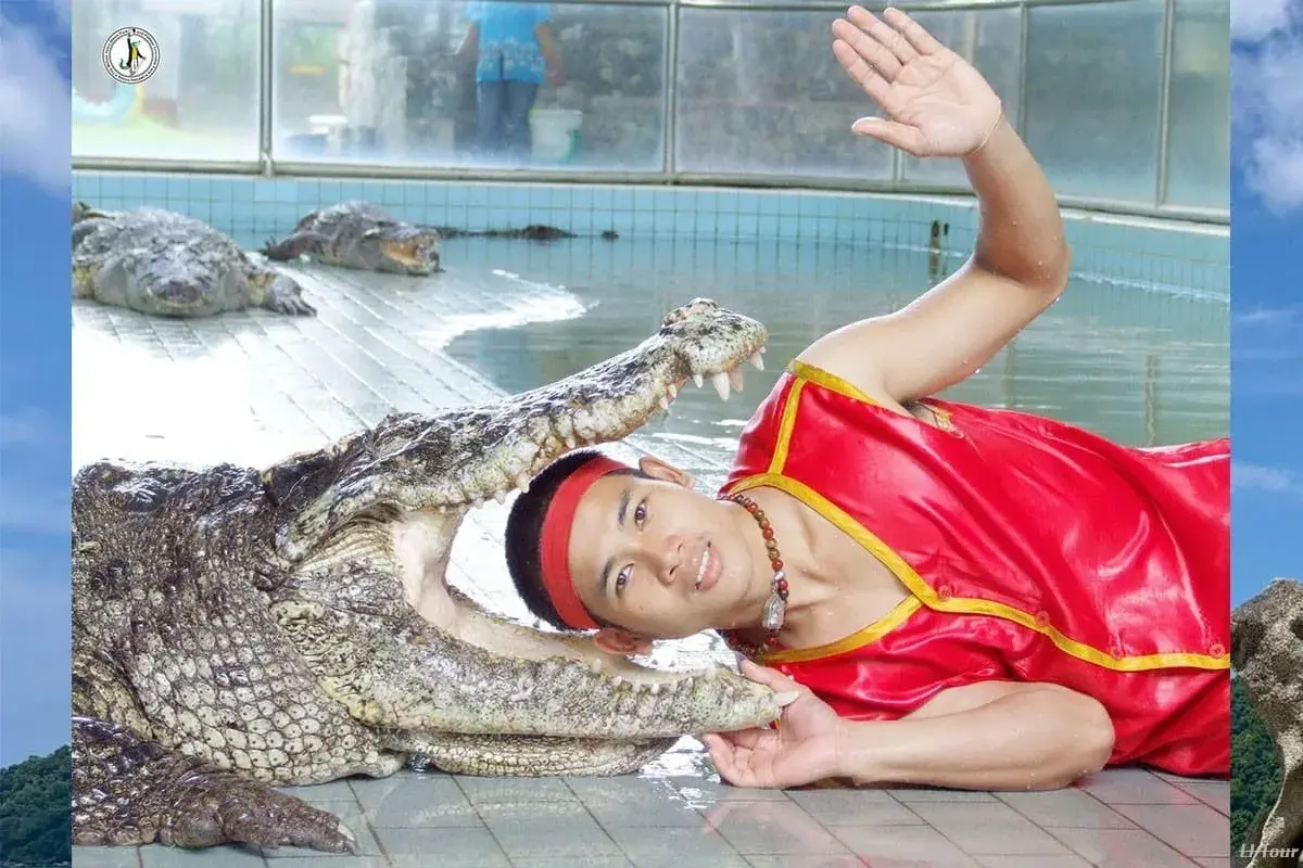 The million years stone park and crocodile farm - Image 1