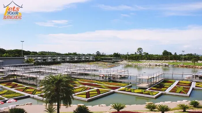 Nong Nuch garden สวนนนุช - Image 1