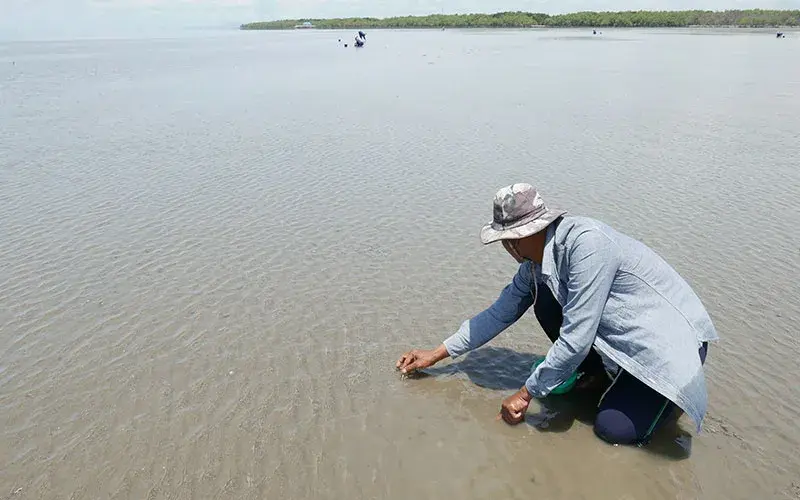 Fun trip fisherman village virtually - Image 1