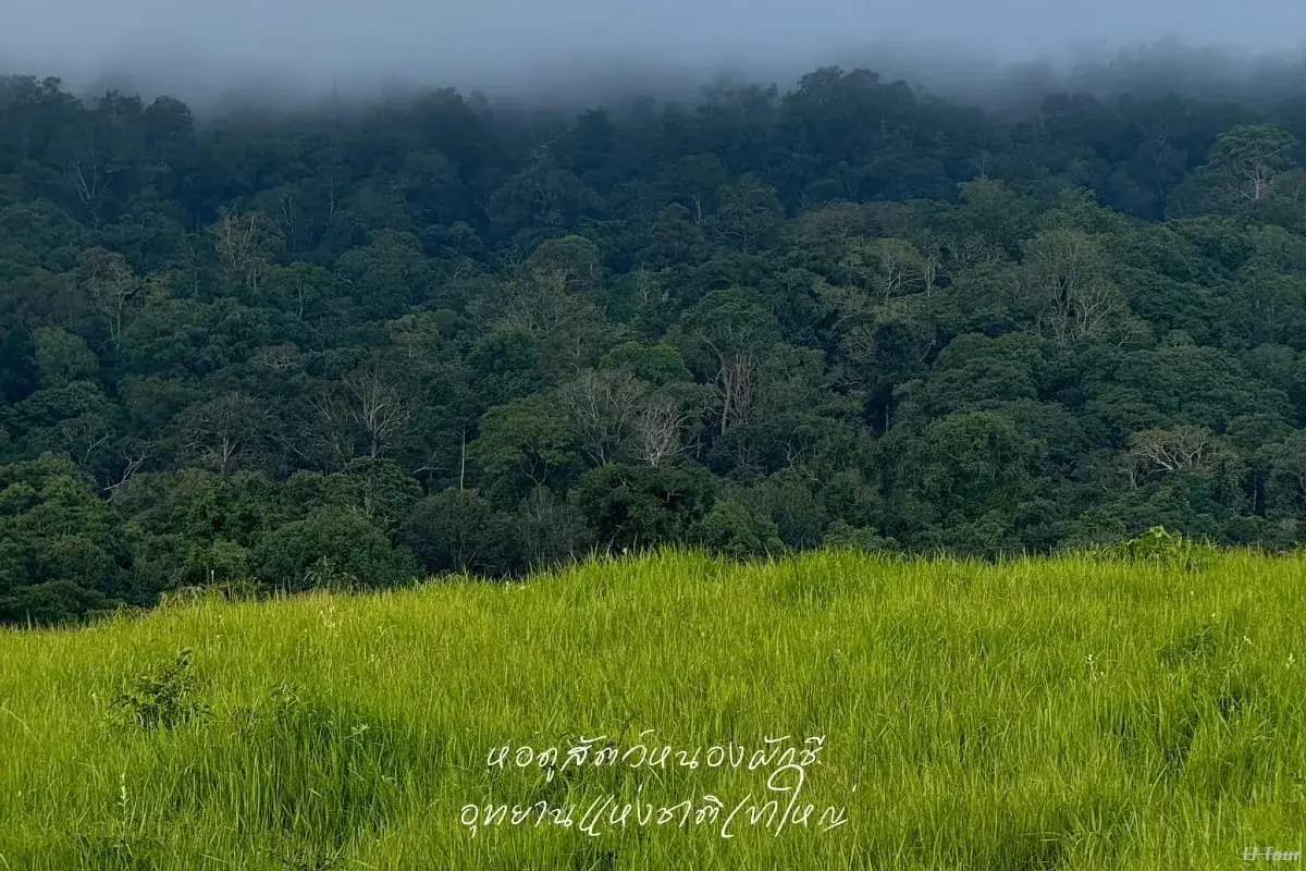 The Old Siam & Jungle - Image 1