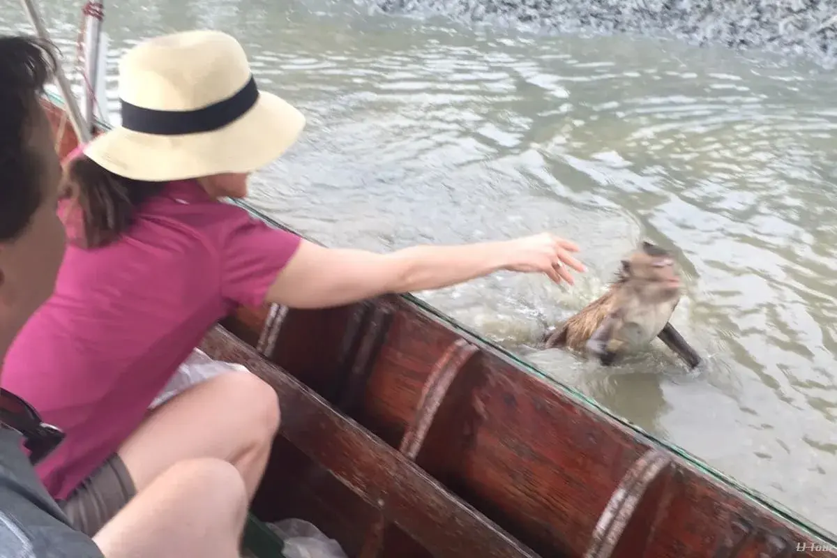 BKK Transfer to Huahin Fisherman Village Private - Image 1