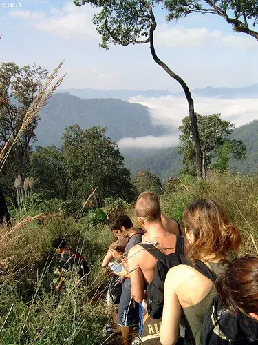 Adventure Thailand - Image 1