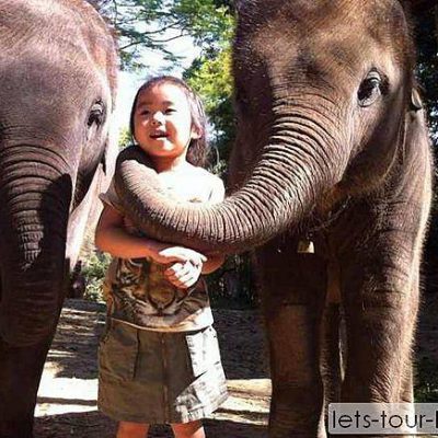 Chiang Mai Elephant camp