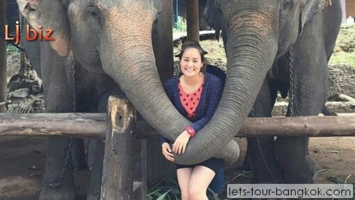 Chiang Mai Elephant camp