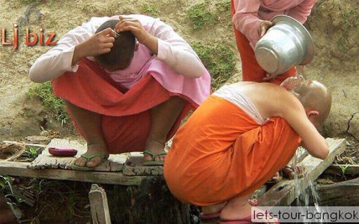 Myanmar my novice monk