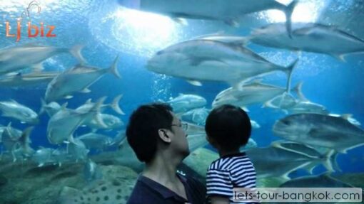 Pattaya under water world