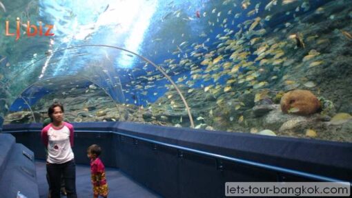 Pattaya under water world