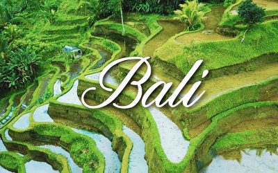 Bali Travel Guide and City Orientation