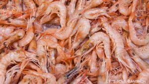 KBV Koh Klang shimp