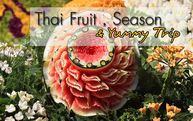 Heaven on Earth for Tropical Thai Fruit