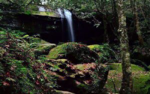 Northeast_Loei_Phu_Kradung