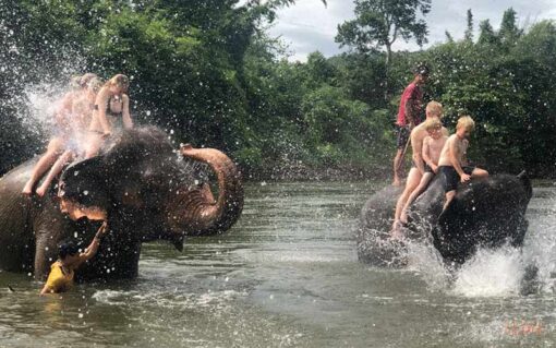 Elephant bathing program