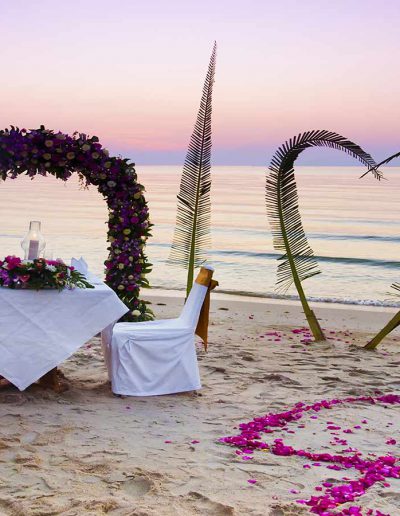 Cover-honeymoon-th-1600X900