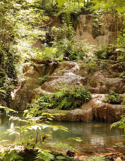 cnx-Bua-tong-waterfall-02