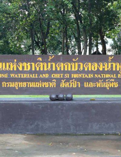 cnx-Bua-tong-waterfall-03