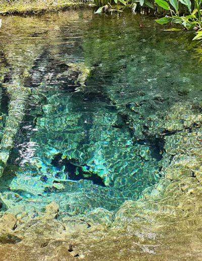 cnx-Bua-tong-waterfall-08