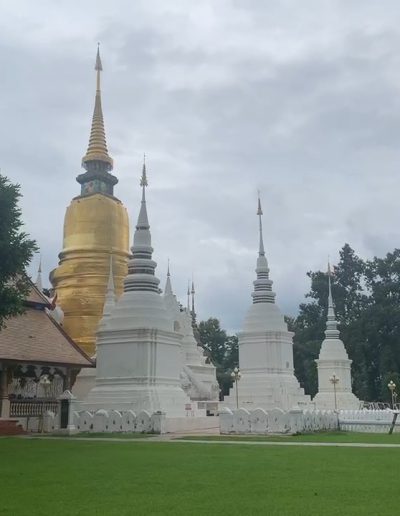 CNX-wat-SunDook (4)